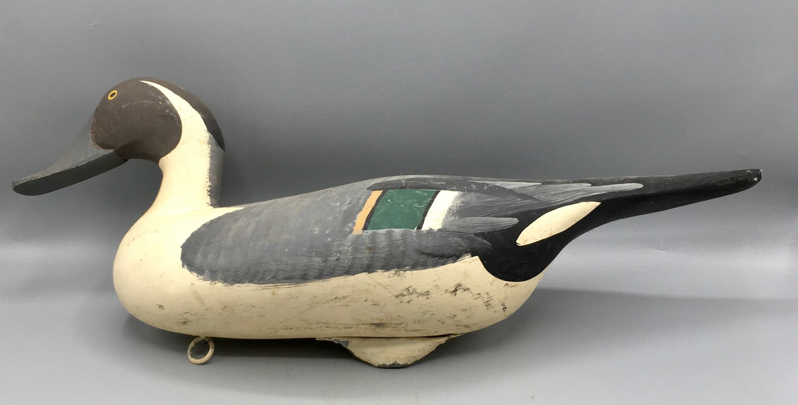 Pintail Drake by Patrick Vincenti (1 of 5)