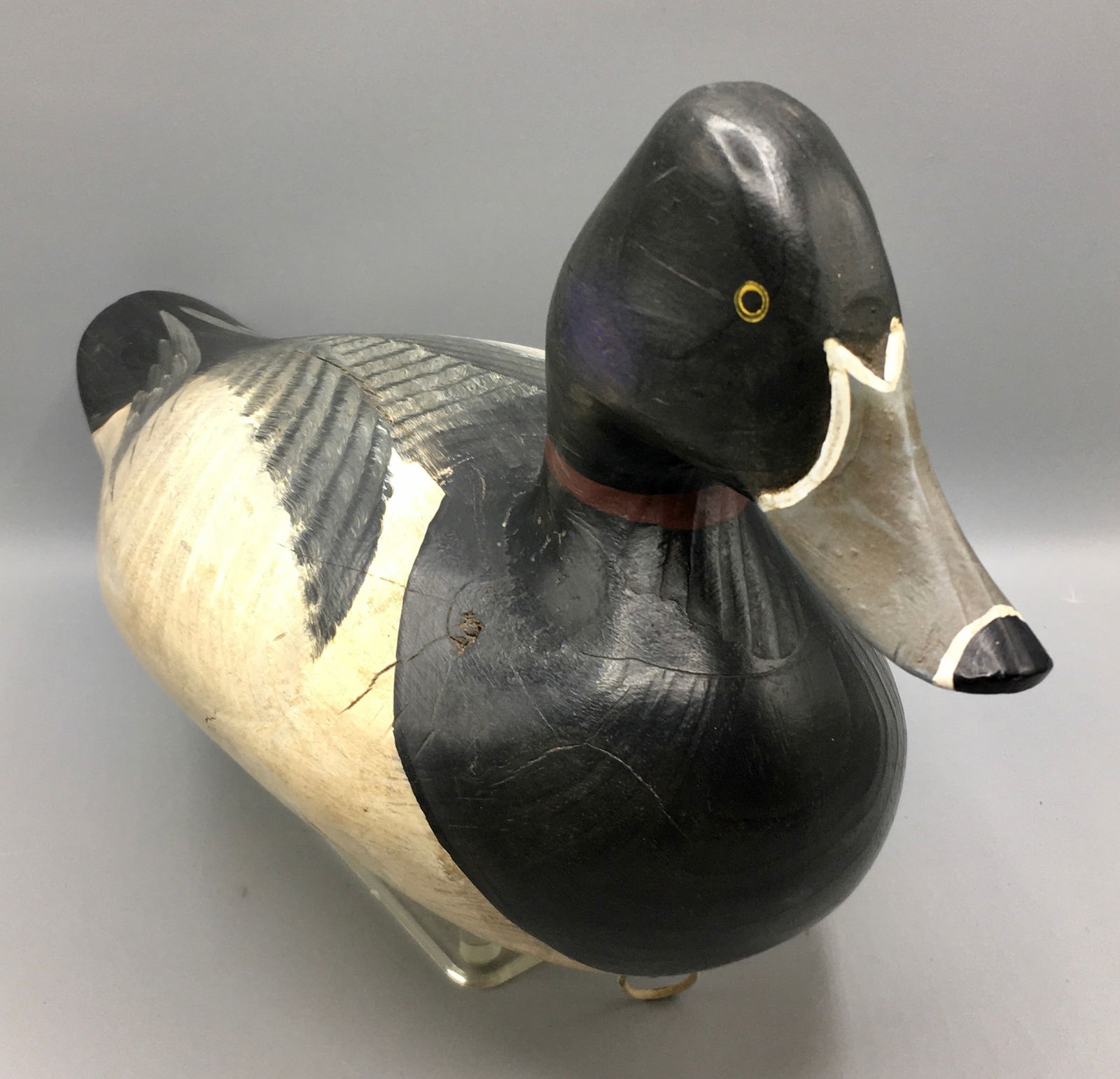 Ring-Necked Duck Drake from Maryland (1 of 4)