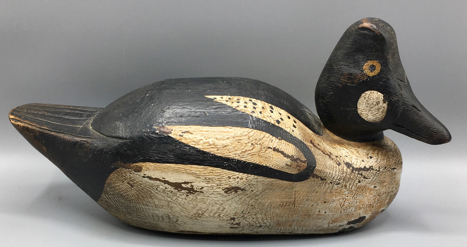 Common Goldeneye Drake from New York (1 of 5)