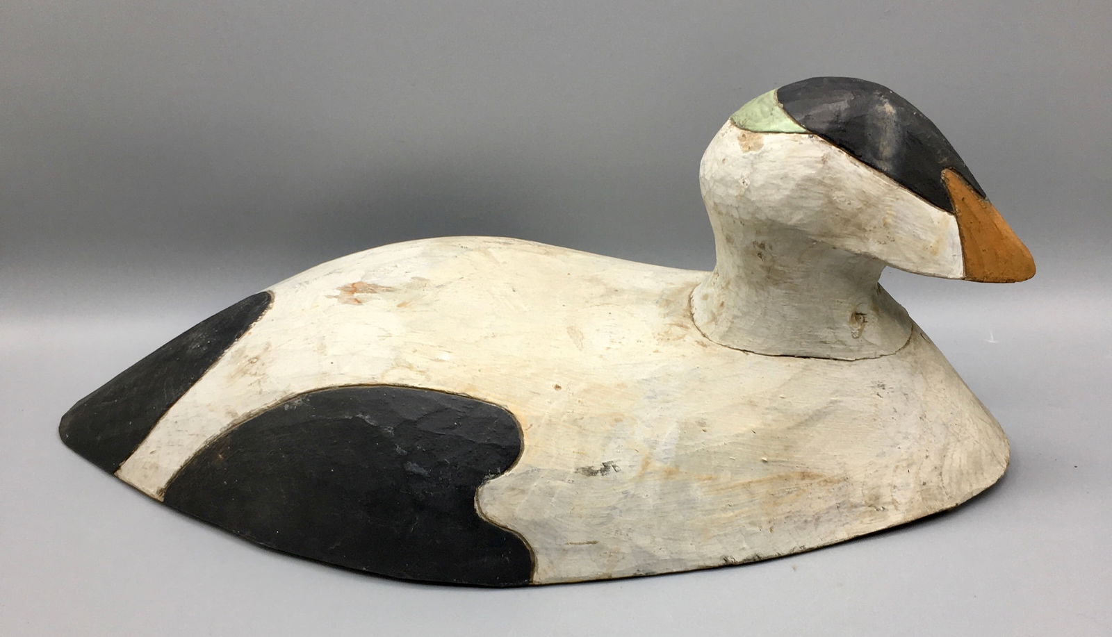 Eider Drake from "Downeast" (1 of 4)