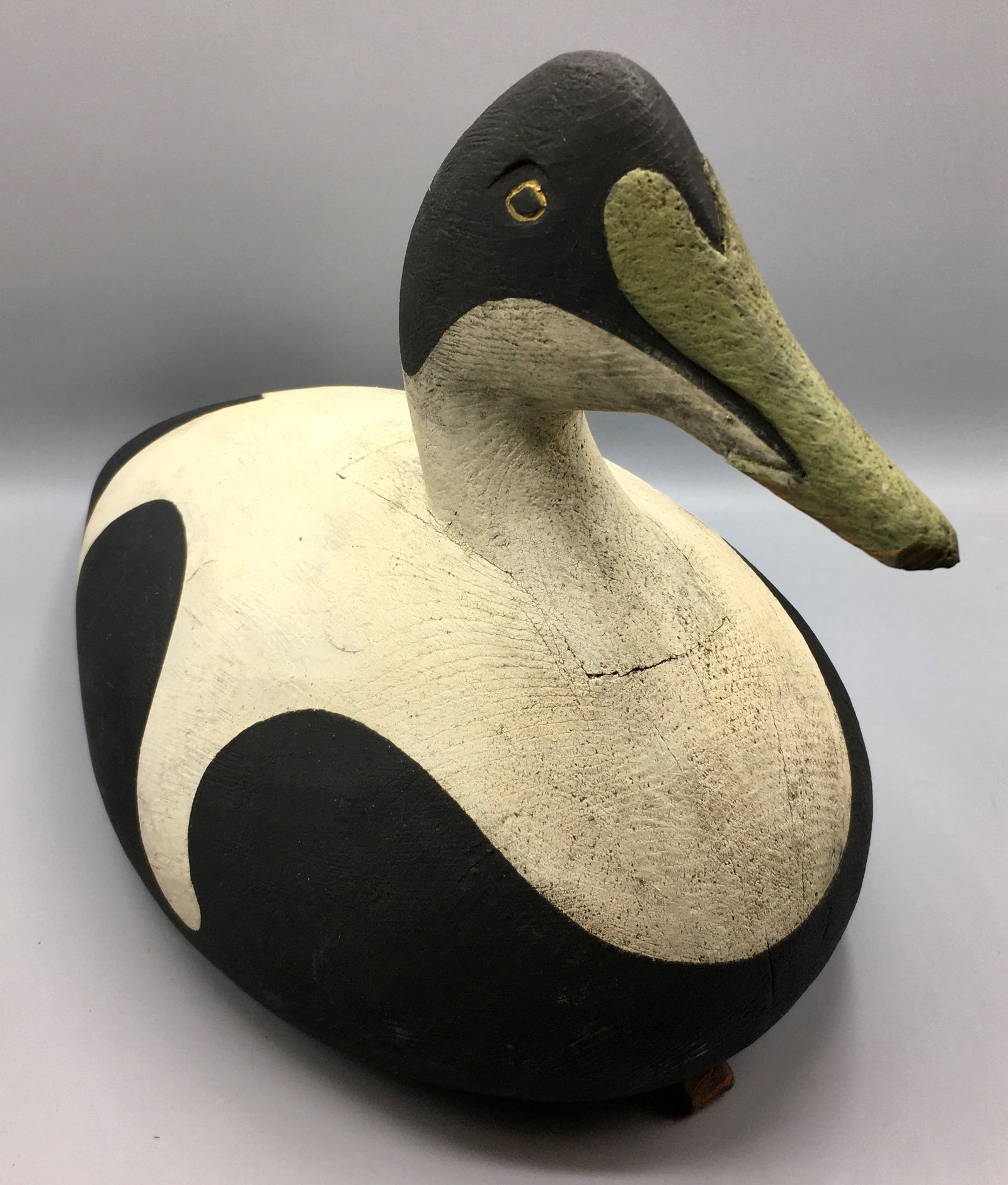 Eider Drake from Maine (1 of 5)