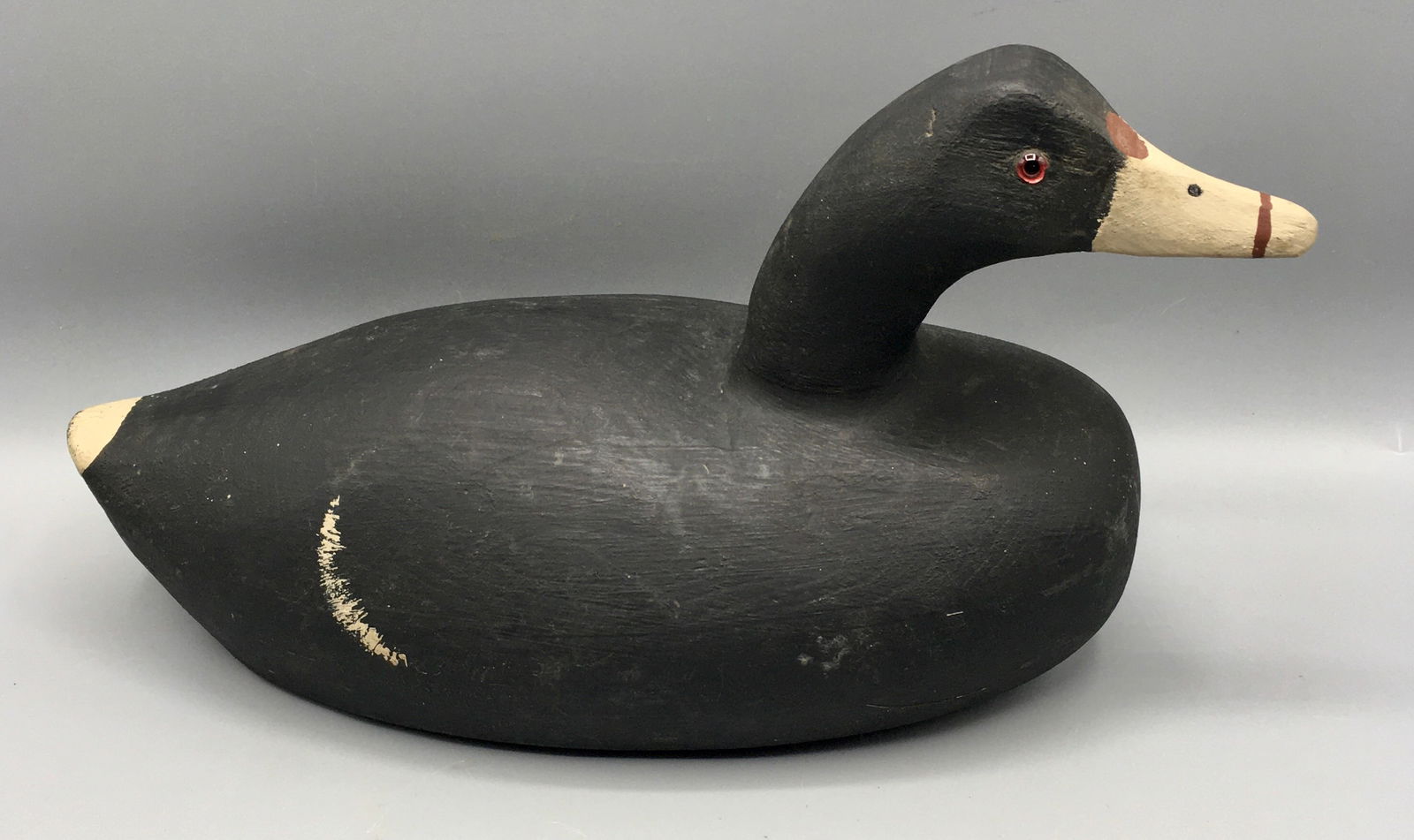 Coot by Ron Koch (1 of 5)