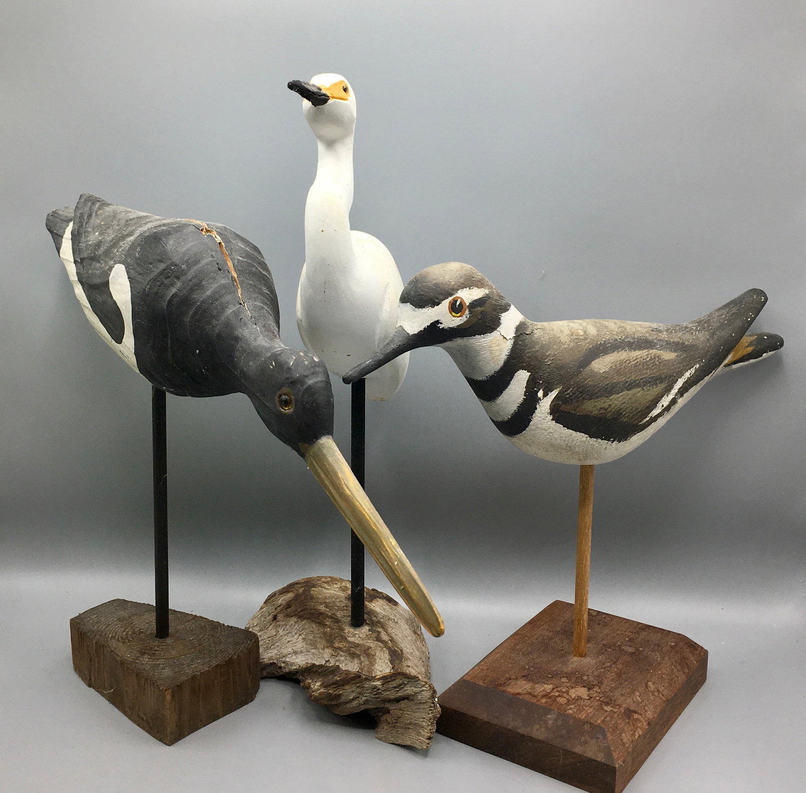 An Oystercatcher, an Egret, and a Killdeer: A 16 inch Oystercatcher decoy. Original paint with wear, to include a tight body crack. A 12 inch Egret carving. Original paint with light wear. A 12 inch Killdeer decoy. Original paint with