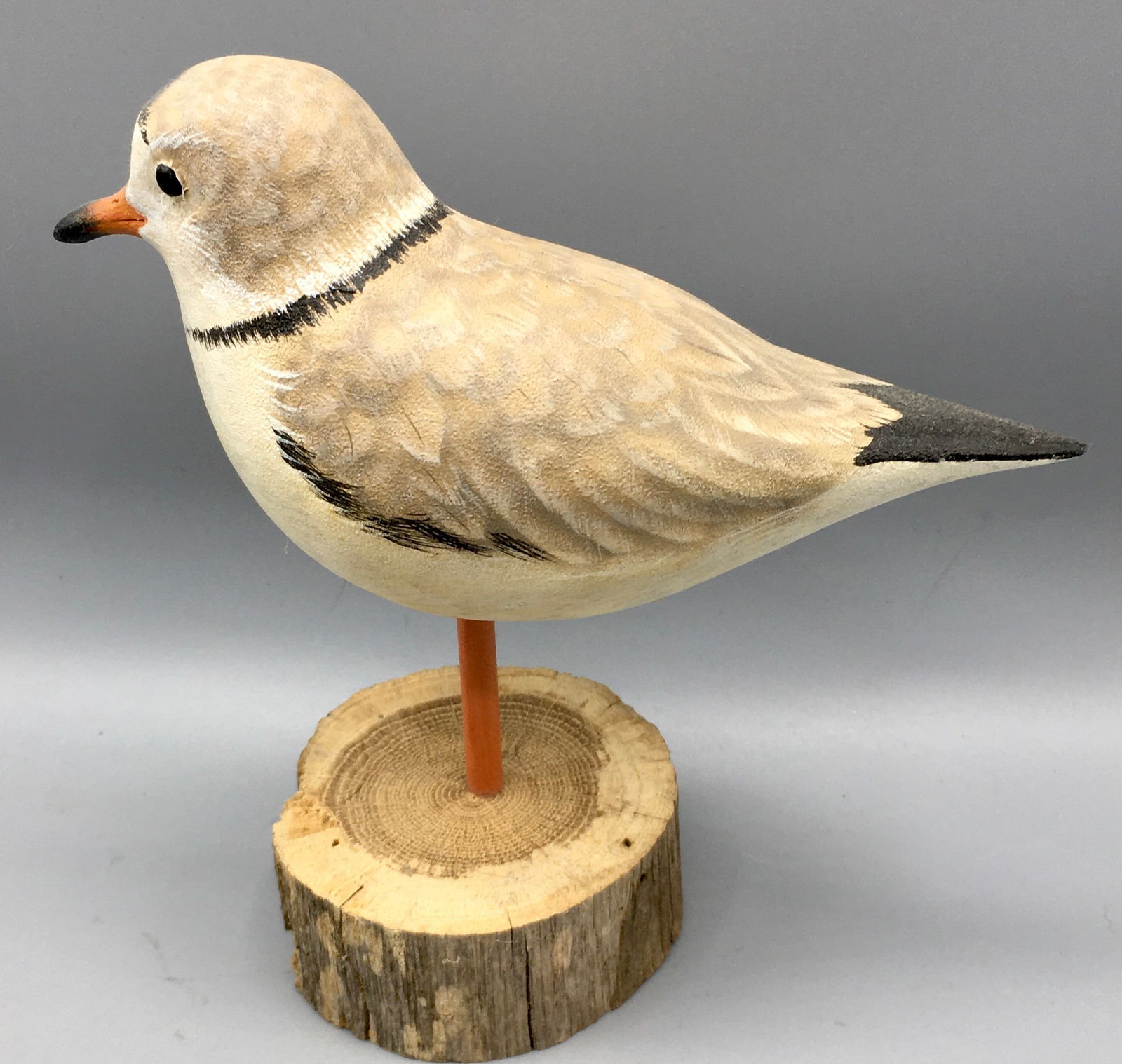 Piping Plover Decoy by Sheila Bowen (1 of 4)