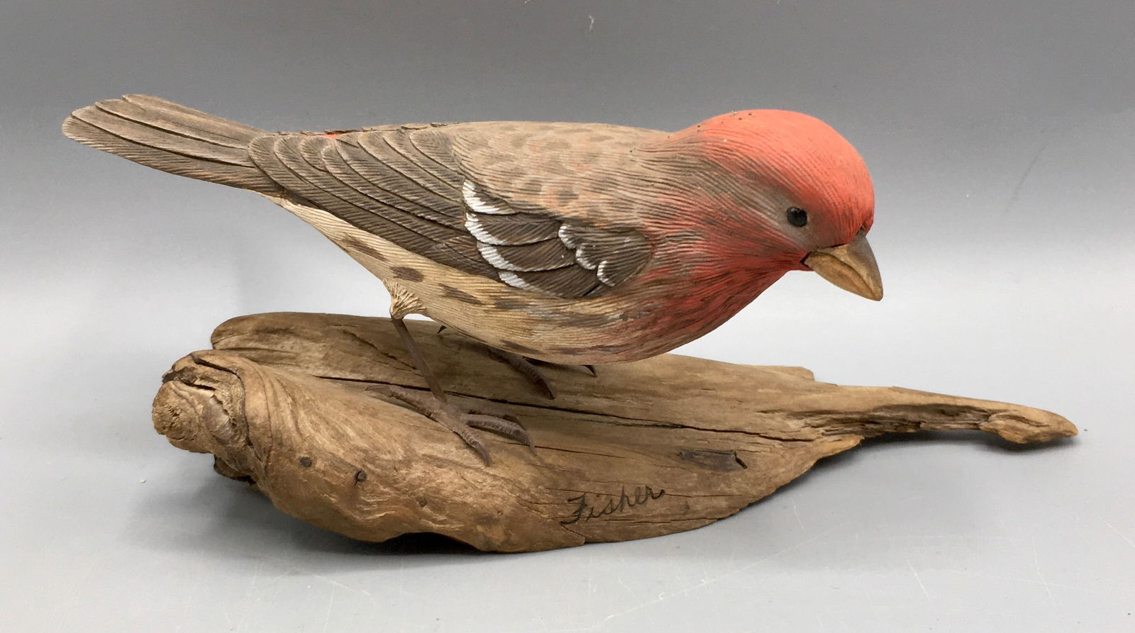 House Finch by R & E. Fisher (1 of 4)