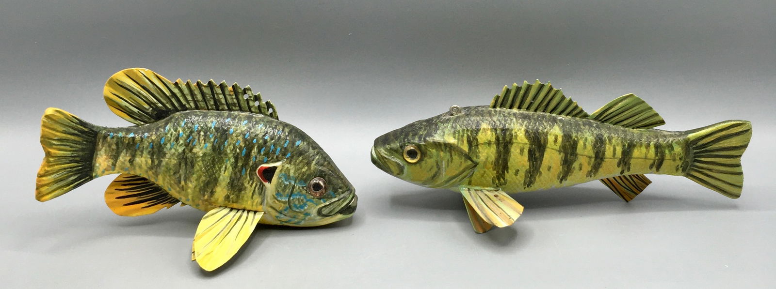 Yellow Perch and a Bluegill by Dean Steffen (1 of 7)