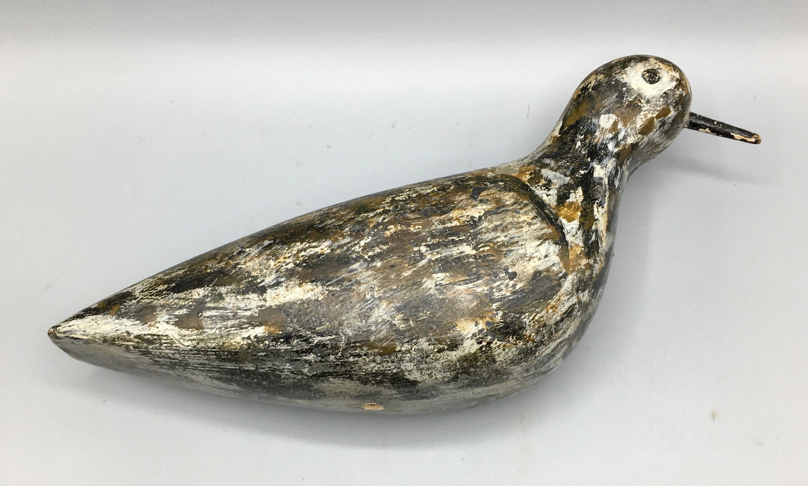 Golden Plover attr. to Massachusetts (1 of 4)