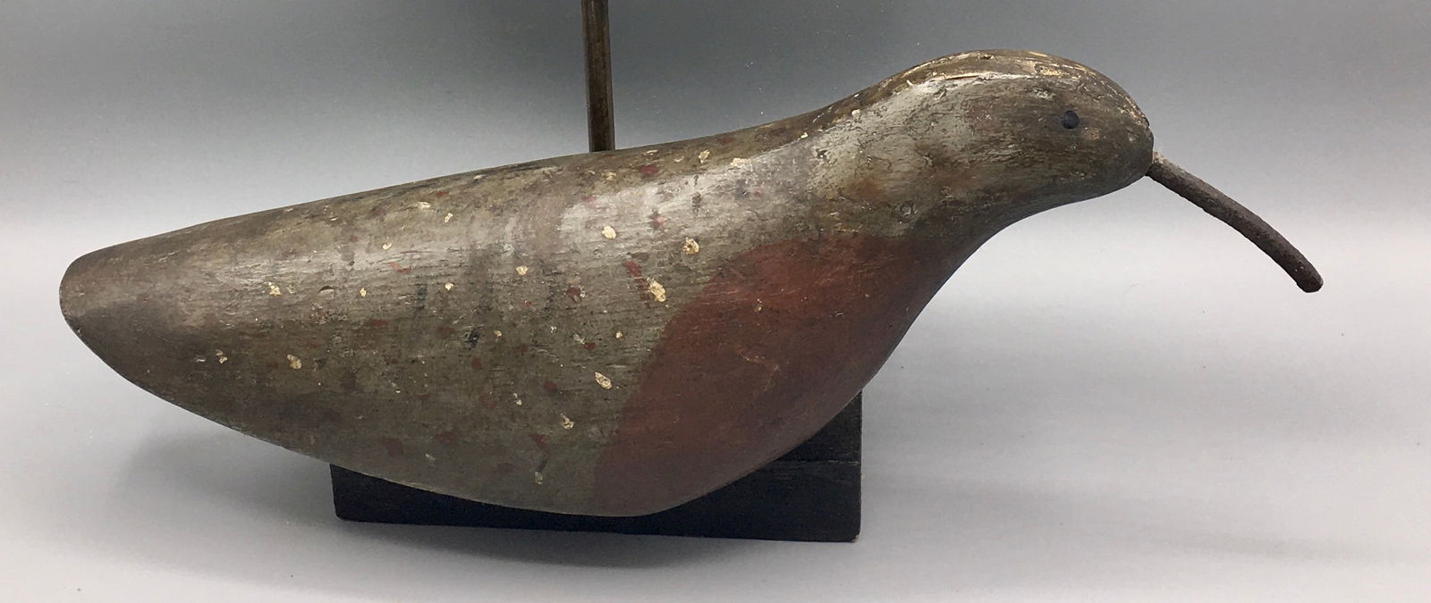 Robin Snipe attributed to Atlantic City, NJ (1 of 4)