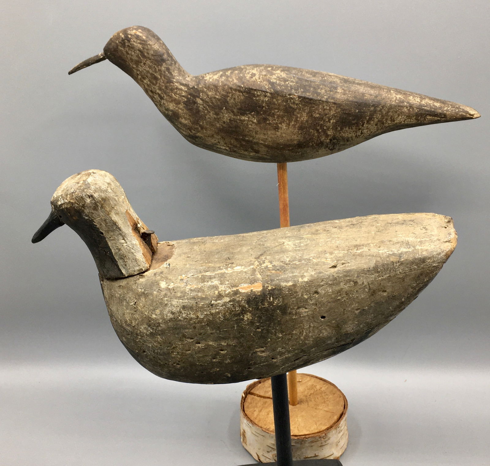 A Plover and a Sandpiper Decoy (1 of 3)