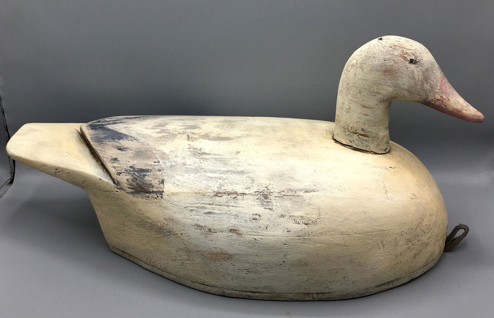 Snow Goose from British Columbia, Canada (1 of 5)