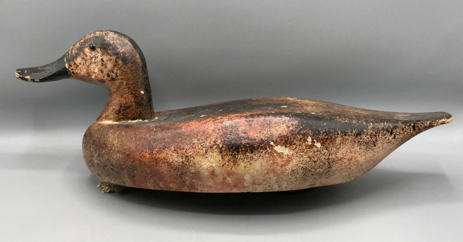 Gadwall Drake Decoy by John Fulton (1 of 4)