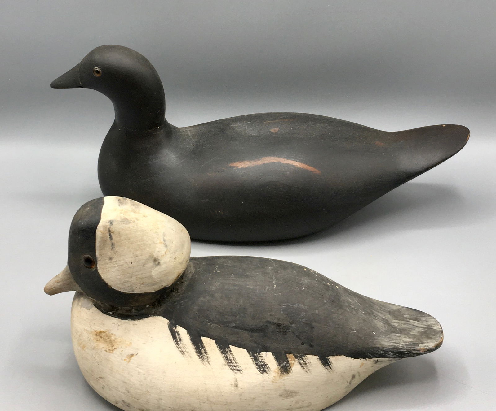 Decoy Factory Style Bufflehead Drake and Coot (1 of 5)