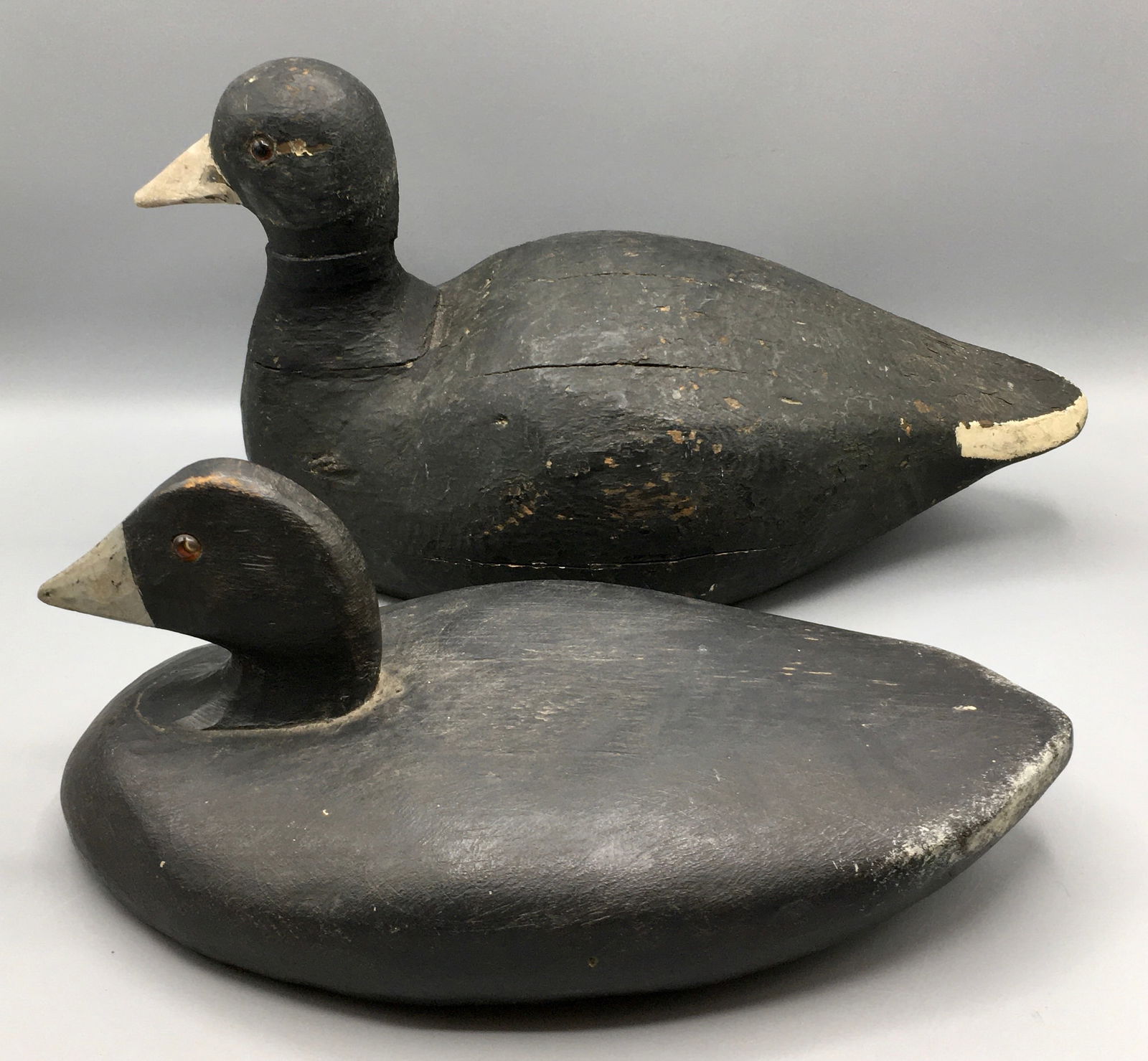 A High-Head and a Low Profile Coot Decoy (1 of 9)