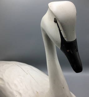 A Hissing Canada Goose and a Swan by H. Walker: A 30 inch Swan decoy by Hank Walker (1919-1995), Newbury, MA, lightly etched signature in the weight in the bottom of the bird. A 30 inch hissing Canada Goose, unsigned.