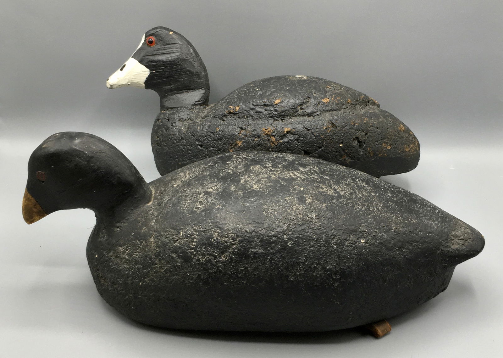 Two Corkbodied Coot Decoys Auction