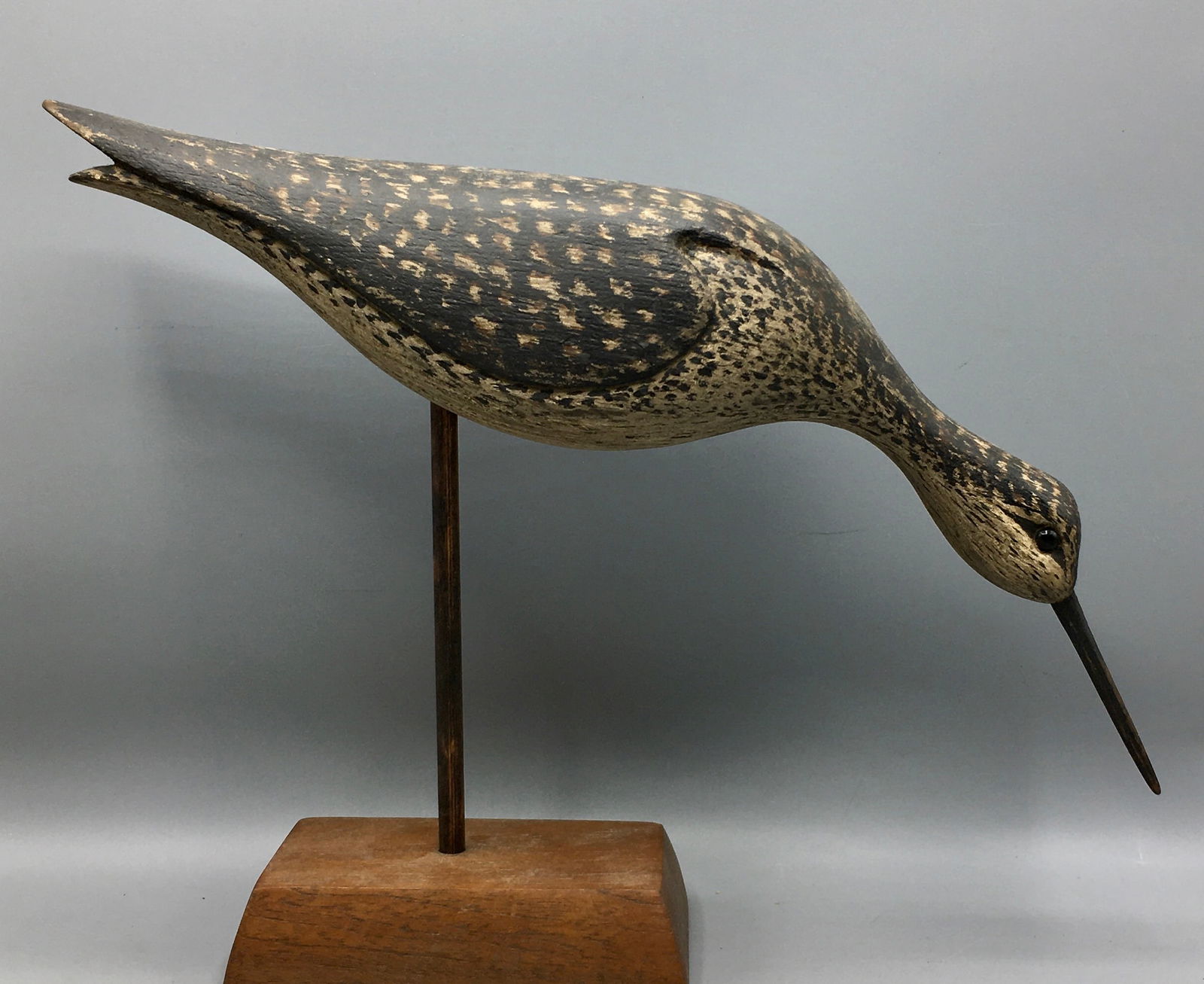 Feeding Yellowlegs by Nathaniel Kirby (1 of 3)