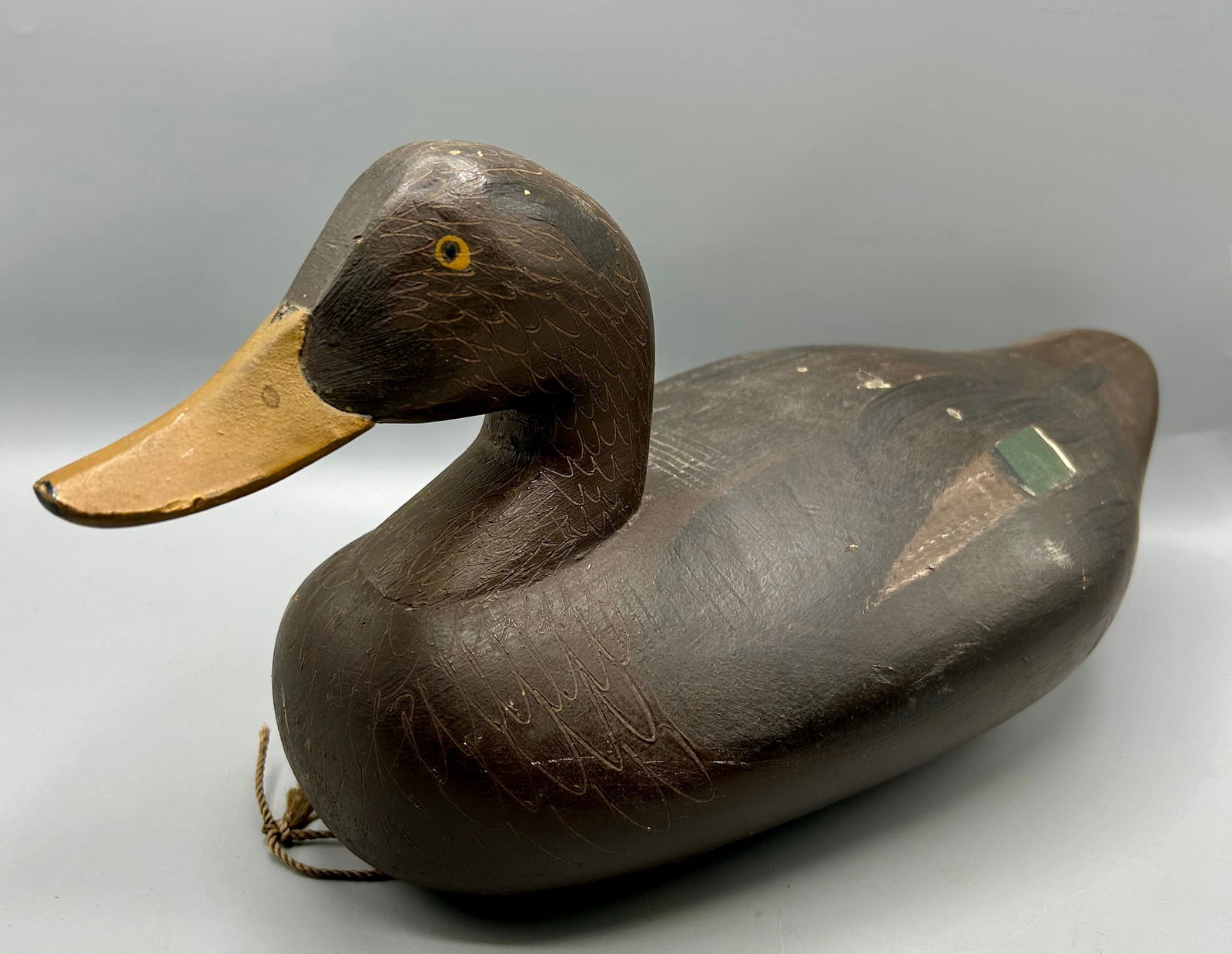 Early Chesapeake Black Duck Decoy by R. Madison Mitchell (1 of 4)