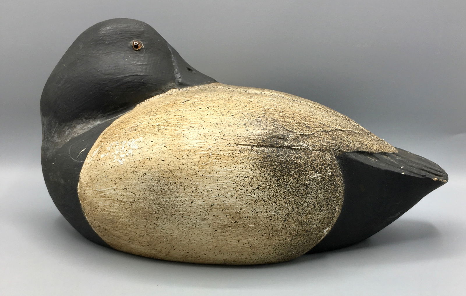 A Sleeping Bluebill Drake from Canada (1 of 4)