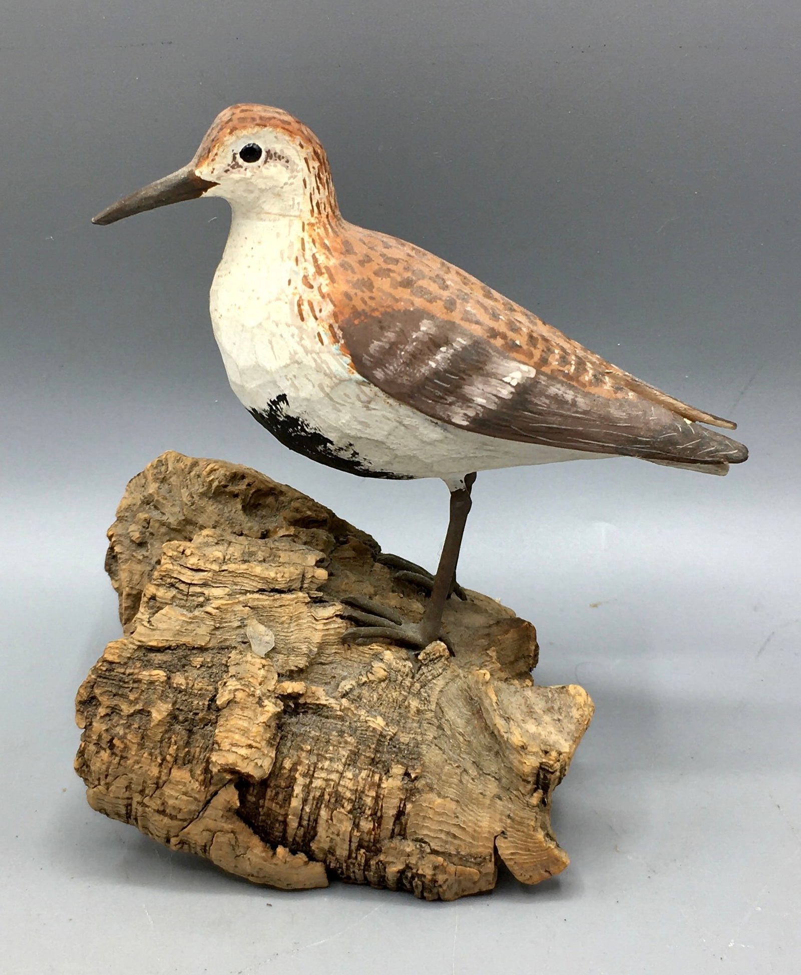 Miniature Dunlin Shorebird by Stan Sparre (1 of 5)