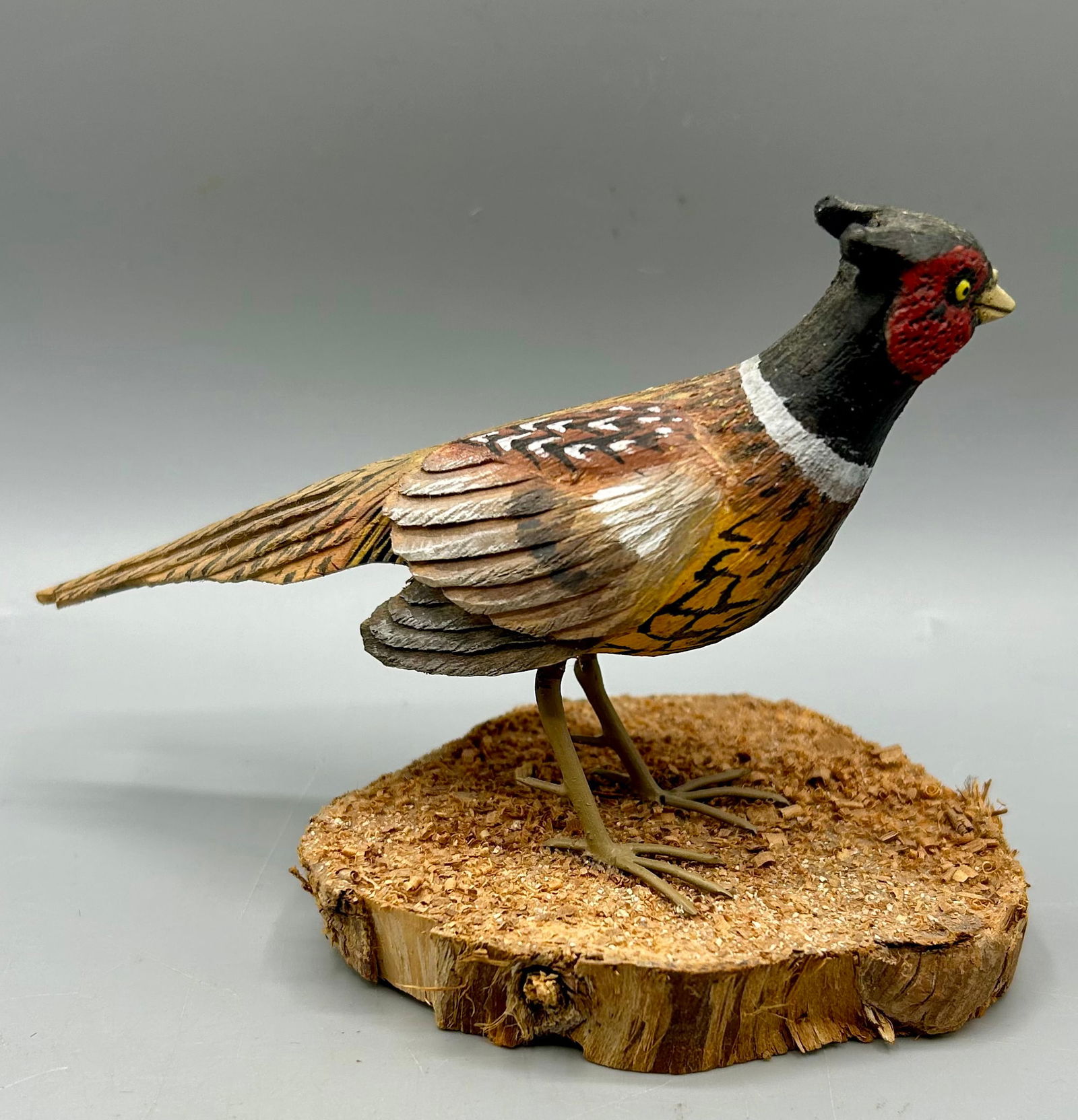 Miniature Ring-Necked Pheasant by Stan Sparre (1 of 5)