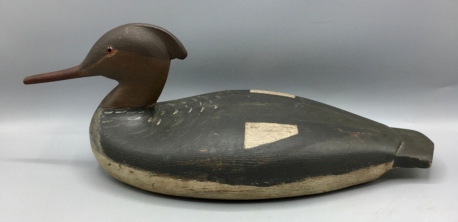 Red-Breasted Merganser from the North Shore, MA (1 of 4)