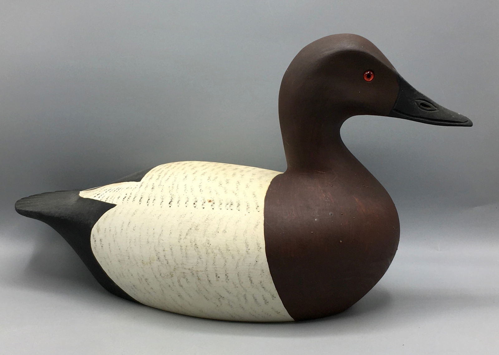Canvasback Hen by Capt. Gerald Smith (1 of 5)