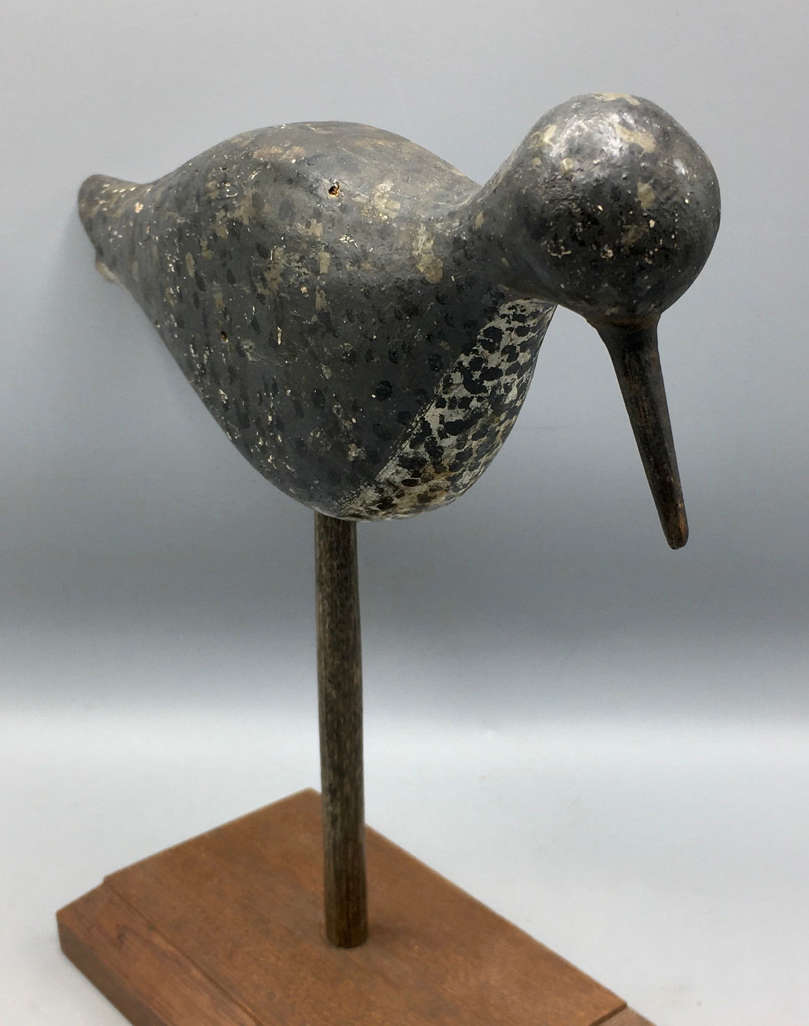 A Feeding Shorebird from Martha's Vineyard (1 of 4)