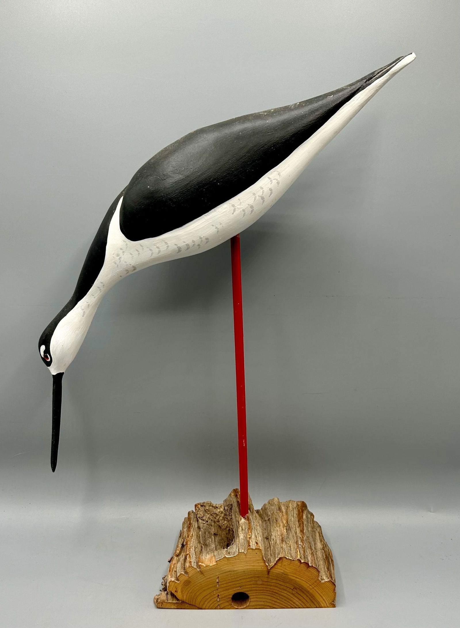 Black-Necked Stilt by John Owen (1 of 4)