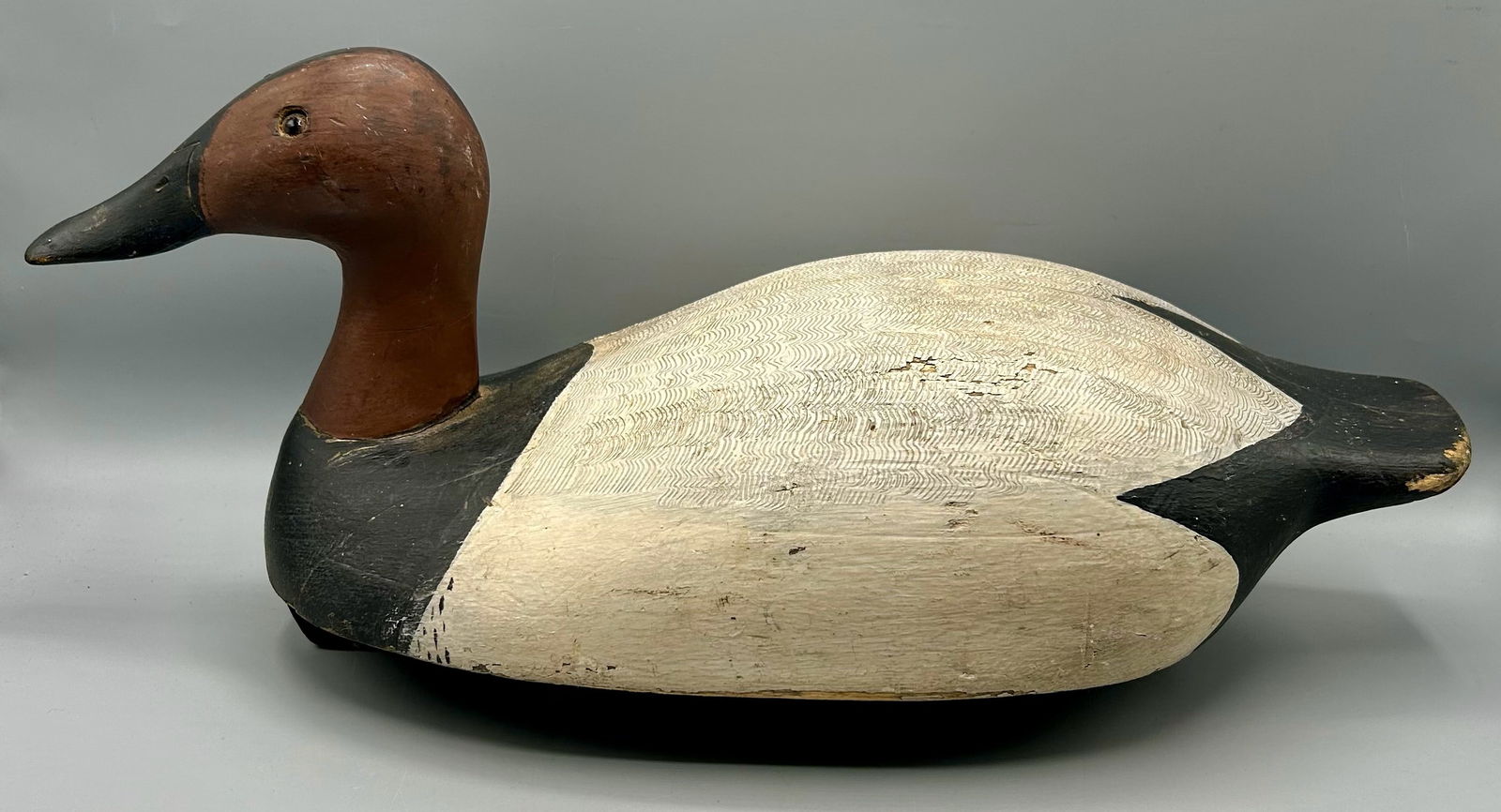 Early Canvasback Drake by Ken Harris (1 of 4)