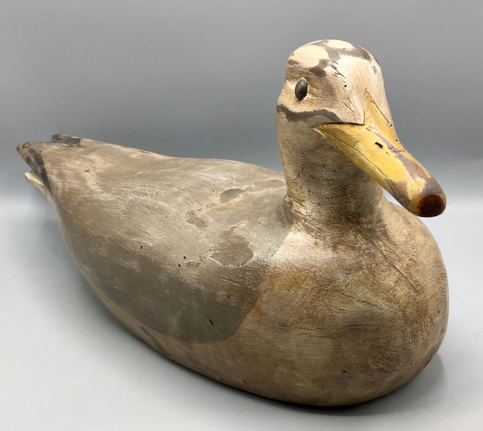 Seagull Decoy by Bill Sarni (1 of 4)