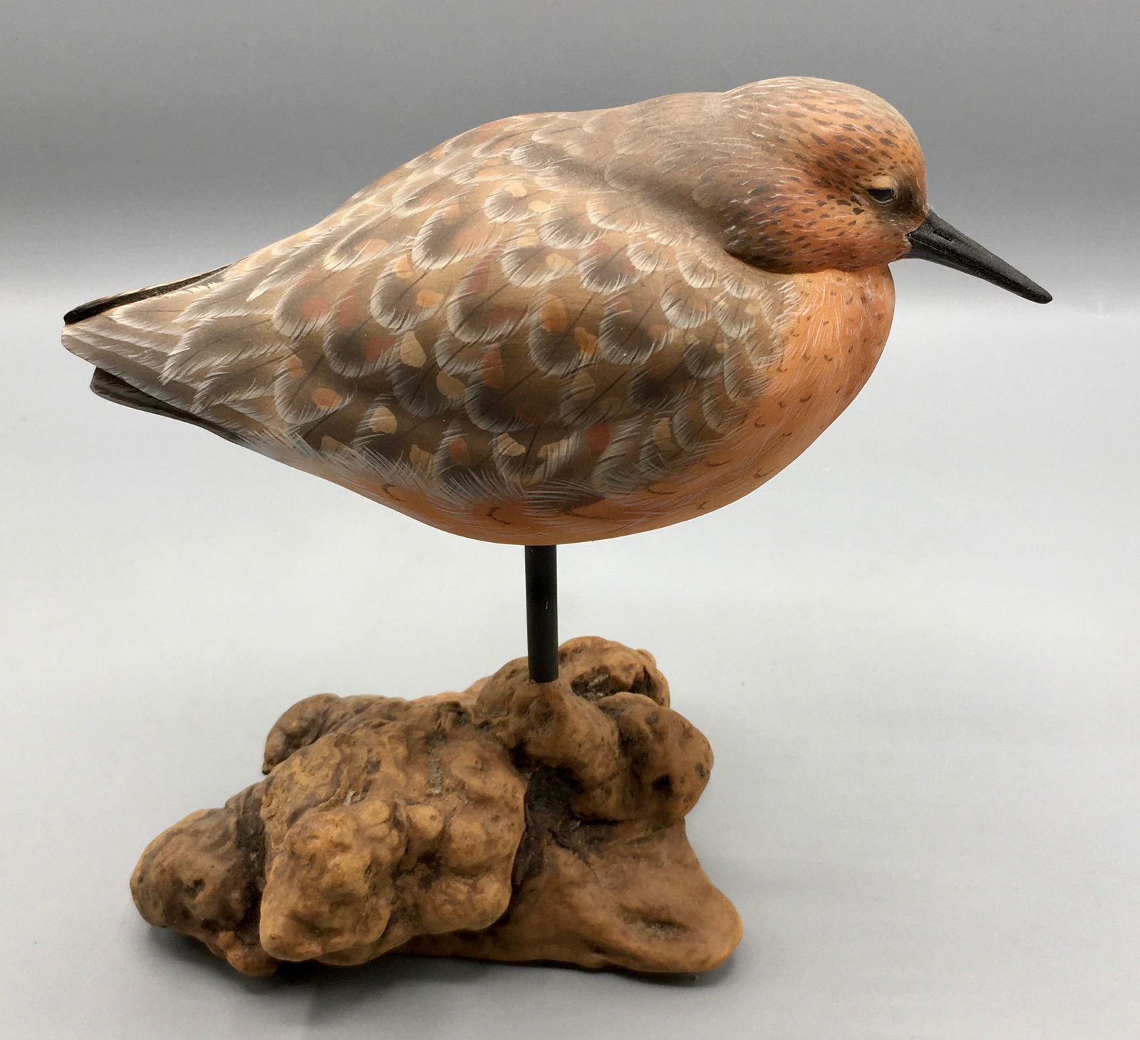 Resting Robin Snipe Decoy by Al Jordan (1 of 4)