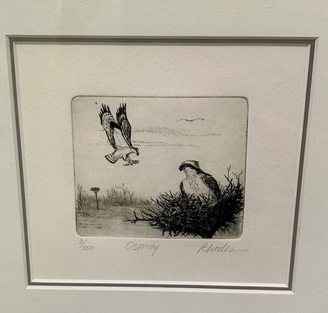 Osprey Etching by Evelyn Thistle Rhodes (1 of 3)