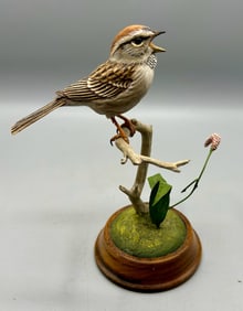 Calling Chipping Sparrow by Richard Palmer