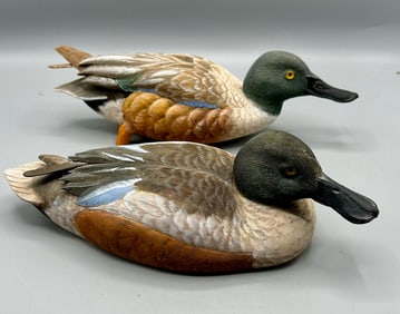 Two Two-Thirds Size Shoveler Drakes by  R J B
