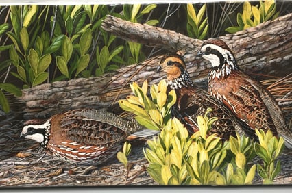 BobWhite Quail Giclee on Canvas by Stephen Koury