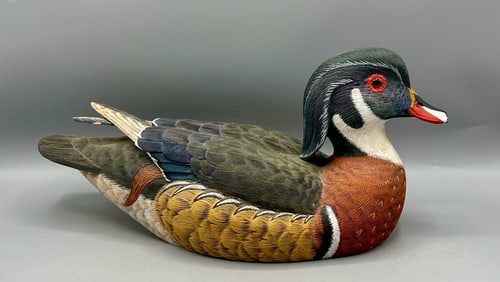 Wood Duck  Drake by R J B, from Gananoque
