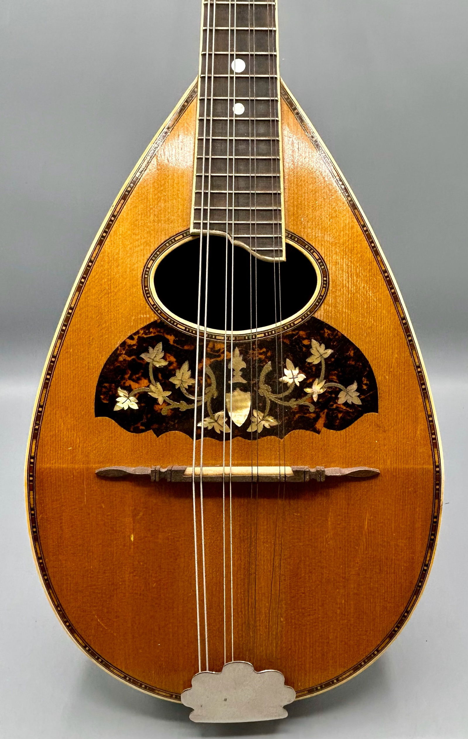 Wonderful Antique Victory Mandolin Sold by Ditson (1 of 8)