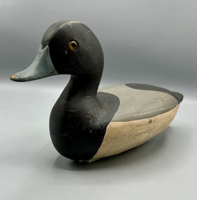 Blue Bill Drake by T.J. Hooker