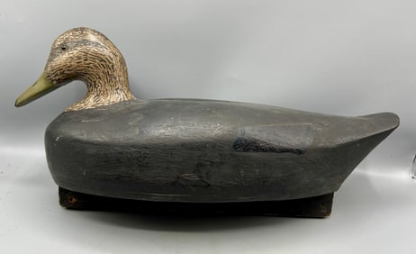 Black Duck by Theodore Perry Lindberg