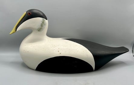 Eider Drake by Richard M. Jason