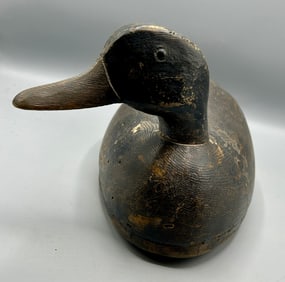 Swimming Black Duck Decoy from Kingston, Ontario