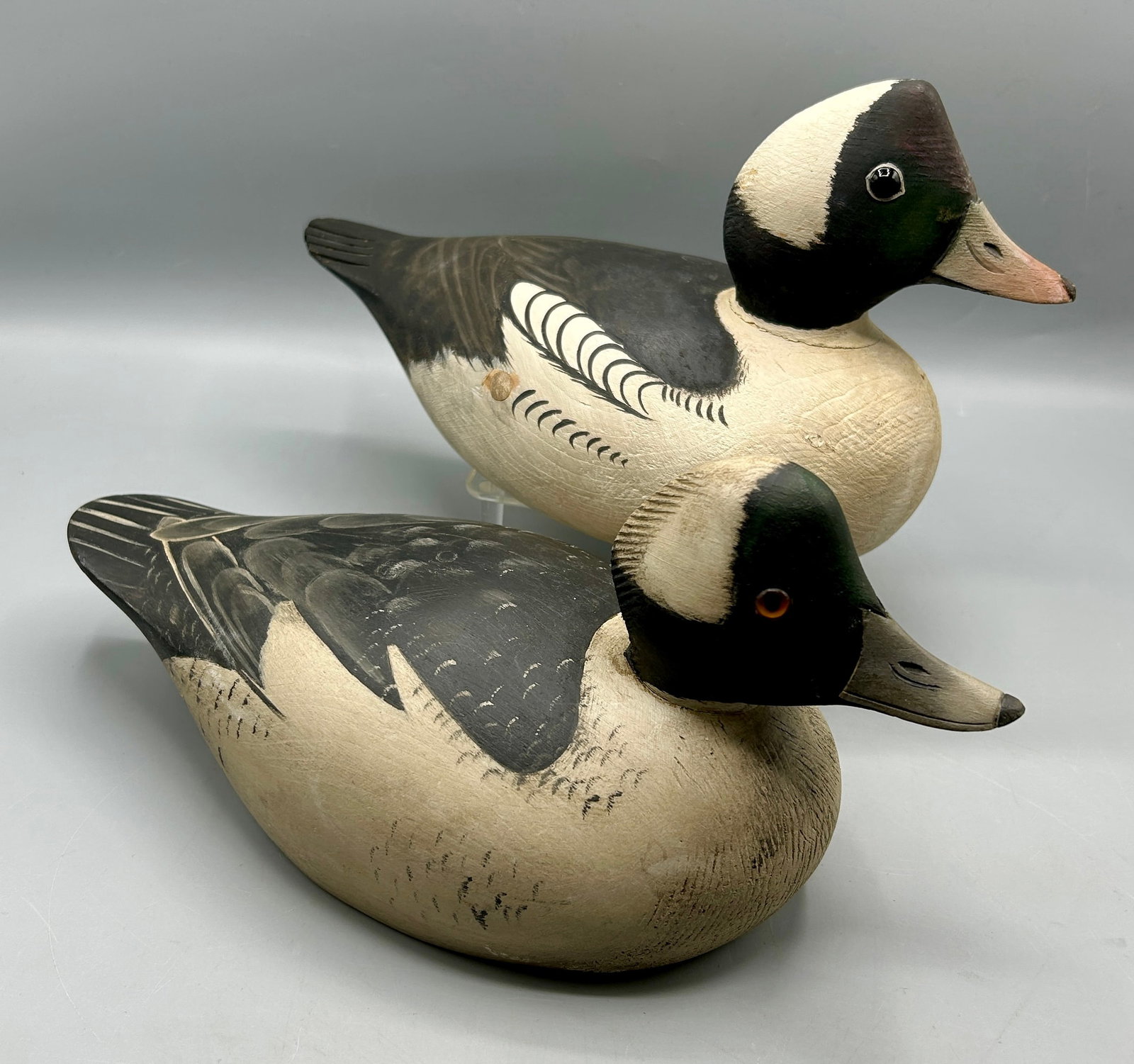 Two Bufflehead Drakes by Marty Collins (1 of 7)