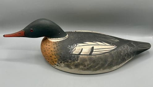 Red-Breasted Merganser Drake from Cape Cod