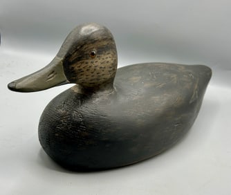 Black Duck by Elmer Crowell