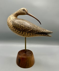 Exceptional Turned Head Curlew by Keith Mueller