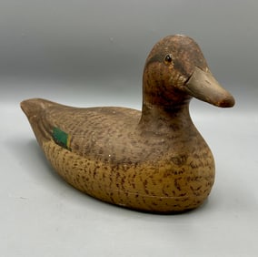 Early Green-Winged Teal Hen by Holger Smith