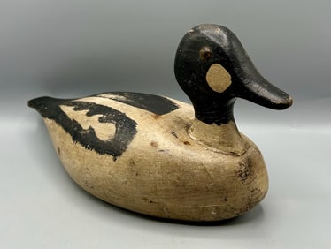 Early Goldeneye Drake attr. to Harvey Stevens