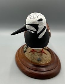 Ruddy Turnstone Sandpiper by Reid Higgins