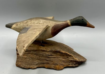 Miniature Mallard in Flight by Alfred Gardner