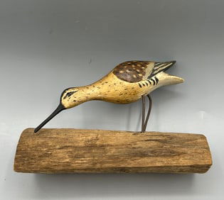 Miniature Feeding Dowitcher Sandpiper by Russ Burr